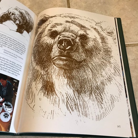 NEW Bev Doolittle New Magic Hardcover Book NIB Original Artwork Collector's Ed. - Picture 11 of 14